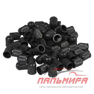 КОЛПАЧОК КАМЕРЫ (ПЛАСТ.) (60 ШТ) "AIRLINE"