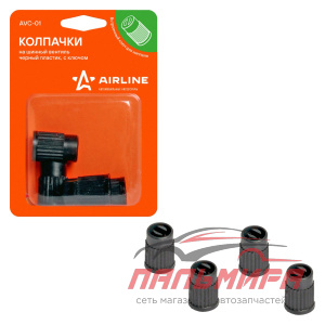 КОЛПАЧОК КАМЕРЫ (ПЛАСТ. 4 ШТ) С КЛЮЧОМ