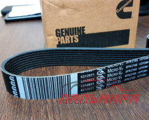 РЕМЕНЬ ГЕНЕРАТОРА для а/м ГАЗ-3302 NEXT (CUMMINS ДВ.) ЕВРО-4 8PK2166