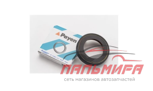 САЛЬНИК PAYEN NJ207