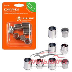 КОЛПАЧОК КАМЕРЫ (С ЗАЩИТ.МАНЖЕТАМИ МЕТАЛЛ, 4 ШТ)