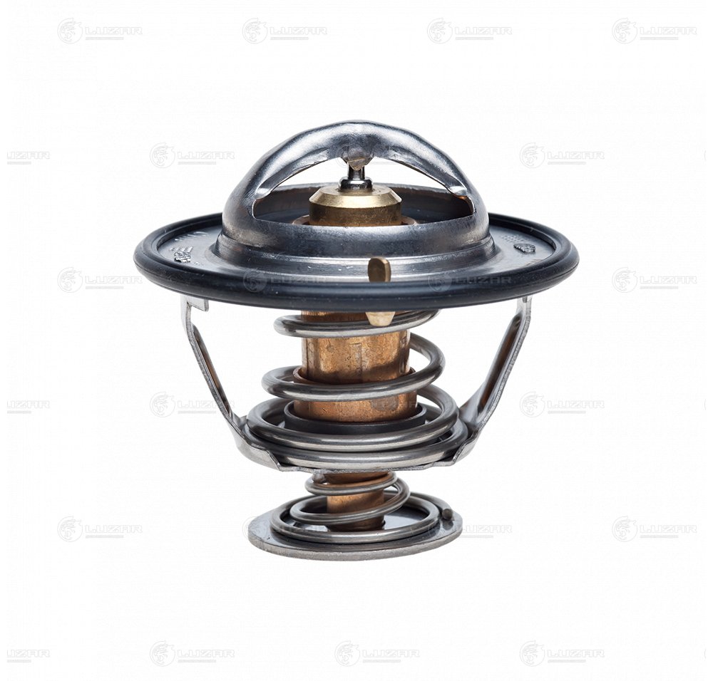 55f1acc3-adcc-4882-a060-8b33fd3c776d