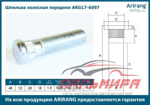 ШПИЛЬКА СТУПИЦЫ ПЕРЕДНЯЯ ARG176097