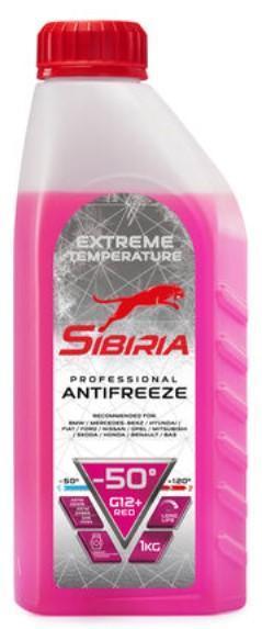 9a689b4a-251b-11ee-9794-509a4c6a7d7e_1