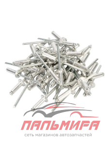 ЗАКЛЕПКИ 4,8 ММ*19 ММ (50 ШТ.) АВТОДЕЛО 40488