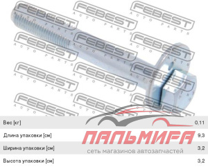 Болт с эксцентриком 0429001 FEBEST