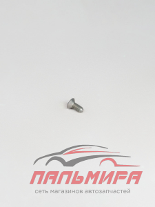 ВИНТ С КОЛПАКОМ DIAM 6X100-14