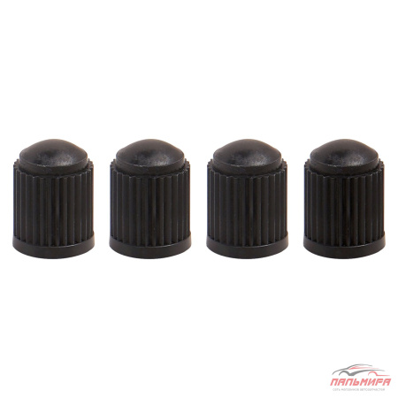 Ремкомплект для вентилей 4 золотника, 4 пласт.колп, 1 метчик в кейсе Airline