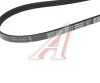 4PK884 Ремень поликлиновой BMW E36 316-318, AUDI 100, AUD *DAYCO