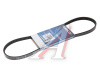 4PK884 Ремень поликлиновой BMW E36 316-318, AUDI 100, AUD *DAYCO