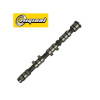 aa17aaaa-6800-11ea-976a-801844ec8e35_1