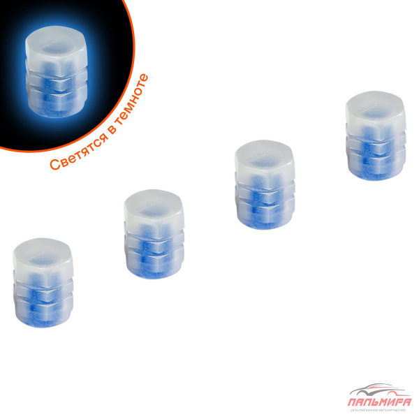 КОЛПАЧОК КАМЕРЫ S-1 (СВЕТЯЩИЕСЯ, СИНИЕ, ABS-ПЛАСТИК) 4 ШТ.